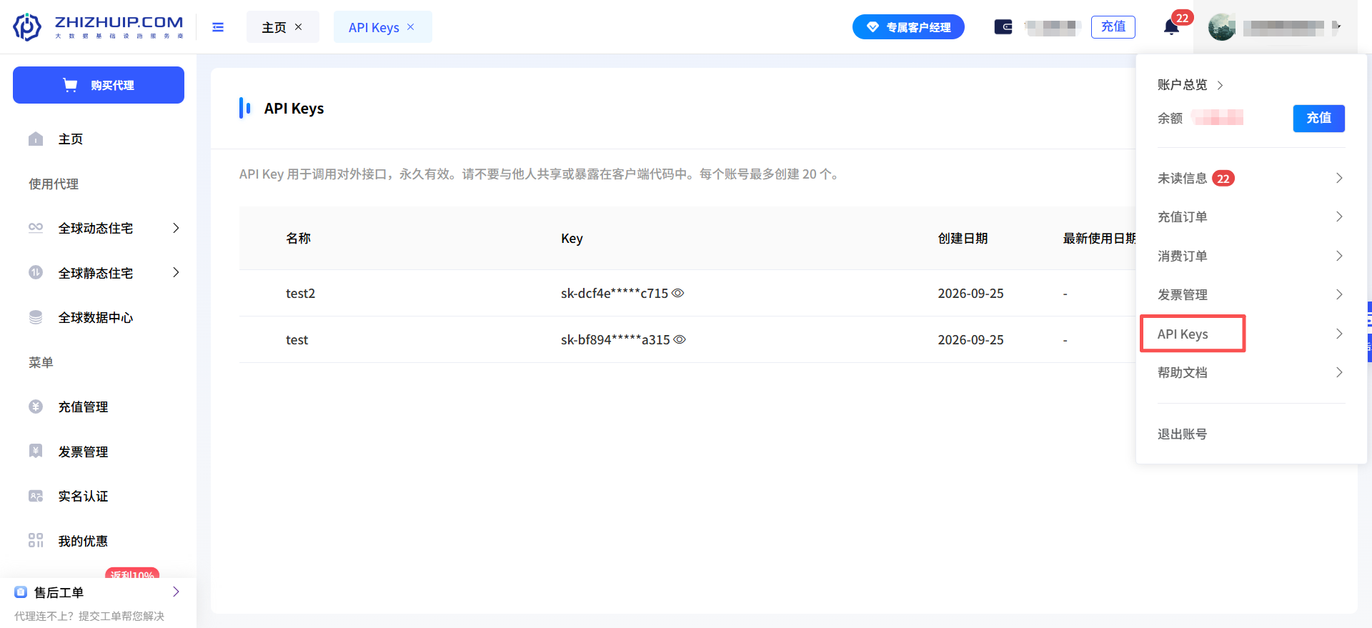 API Key获取方式